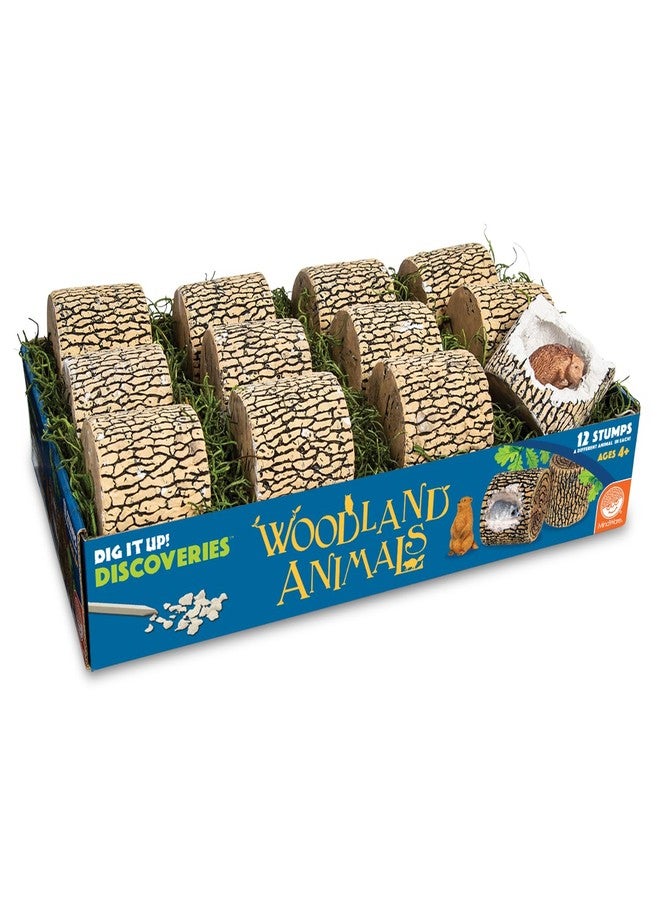 Mindware مجموعة حفر حيوانات الغابة من مايندوير - ألعاب تعليمية للأطفال من 4 سنوات وما فوق - مجموعة حفر مع 12 جذع، 12 تمثال حيوانات، 12 إزميل - أنشطة جماعية أو صفية وحفلات عيد الميلاد - Image 2