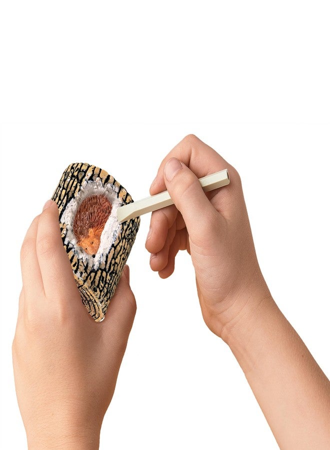 Mindware مجموعة حفر حيوانات الغابة من مايندوير - ألعاب تعليمية للأطفال من 4 سنوات وما فوق - مجموعة حفر مع 12 جذع، 12 تمثال حيوانات، 12 إزميل - أنشطة جماعية أو صفية وحفلات عيد الميلاد - Image 3