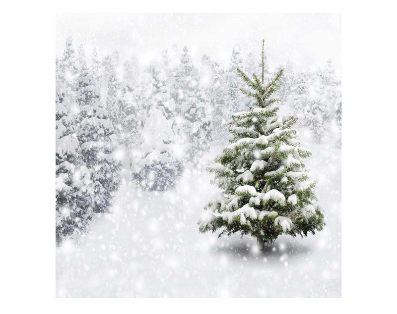 Allenjoy 8x8ft Fabric Christmas Eve Winter Snowy Backdrop Party Supplies for Xmas New Year Decorations Children 1st First Birthday Baby Shower Photo Booth Shoot Studio Portrait Prop Photoshoot Favors