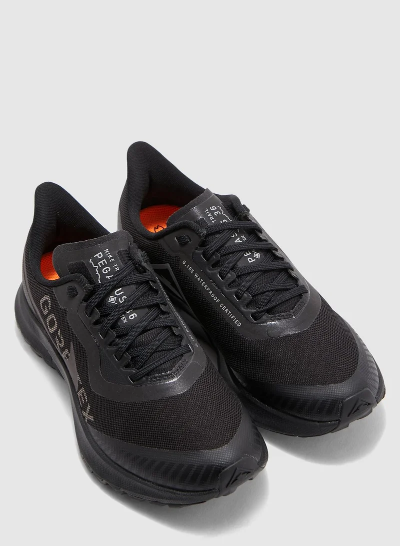 Nike Zoom Pegasus 36 Trail Gore Tex