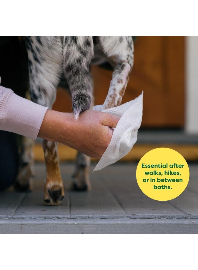 إيرث ريتد مناديل العناية بالحيوانات الأليفة من Earth Rated للكلاب والقطط، مضادة للحساسية، تنظيف وترطيب، للكفوف والجسم والأرداف، بدون رائحة، 400 منديل - Image 3