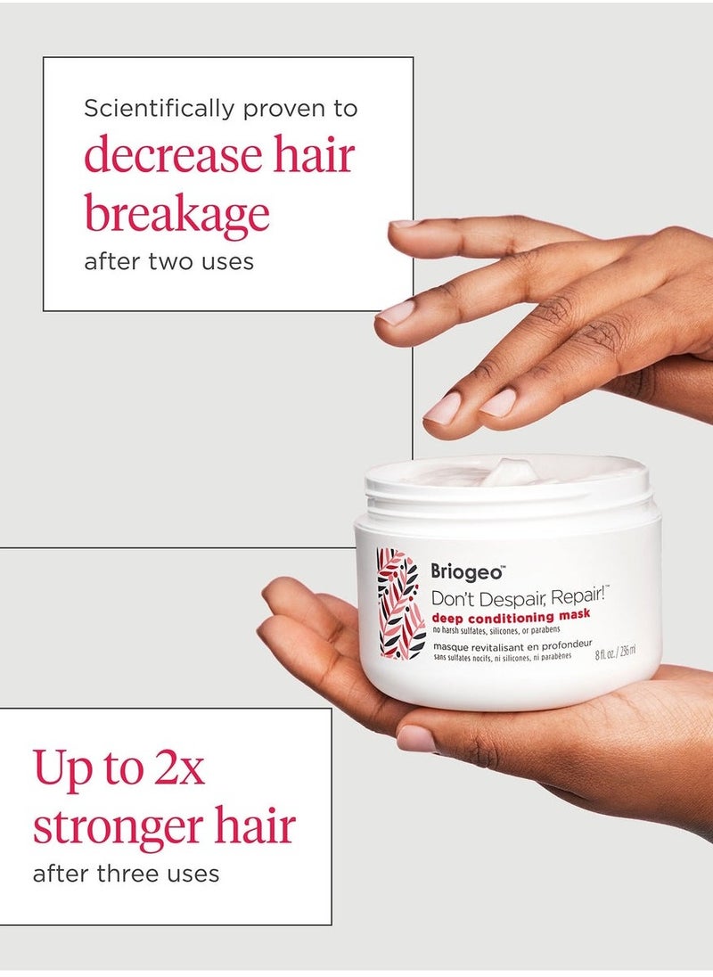 Briogeo - Strength + Repair Solutions Set for Dry + Damaged Hair (DDR Rice FS Kit) - Image 1