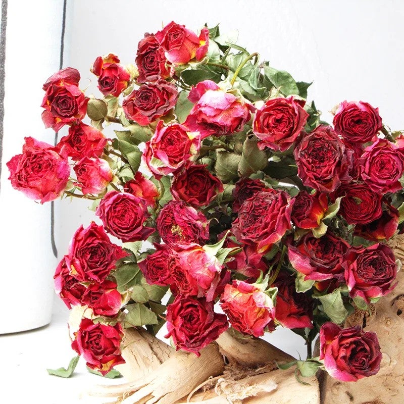 Bluejw Natural Dried Rose Buds with Stem - Wedding Bouquet, Real Dried Rose Flower Bouquets, Decorative Dried Plants - Image 1