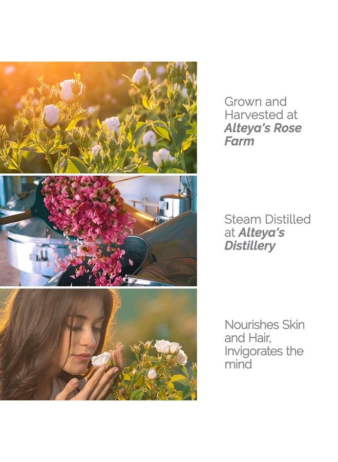 ألتيا تونر للوجه بماء الورد الأبيض العضوي المعتمد من وزارة الزراعة الأمريكية من Alteya Organics، 250 مل/8.5 أونصة سائلة من ماء زهرة الورد البلغاري النقي، مرطب حائز على جوائز، زجاجة خالية من مادة BPA مع مخفض - Image 3