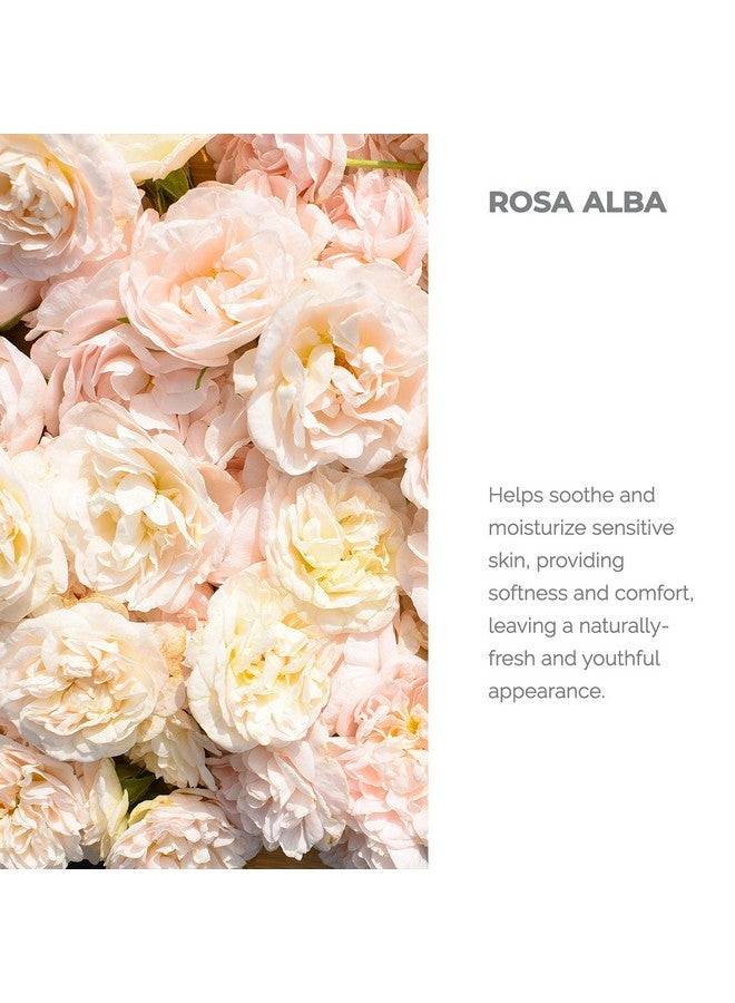 ألتيا تونر للوجه بماء الورد الأبيض العضوي المعتمد من وزارة الزراعة الأمريكية من Alteya Organics، 250 مل/8.5 أونصة سائلة من ماء زهرة الورد البلغاري النقي، مرطب حائز على جوائز، زجاجة خالية من مادة BPA مع مخفض - Image 2