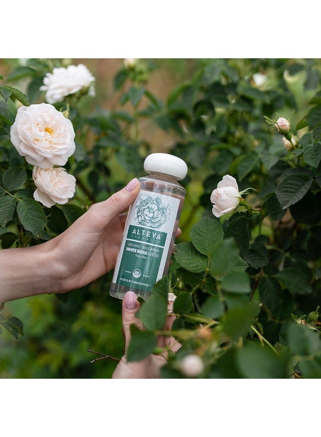 ألتيا تونر للوجه بماء الورد الأبيض العضوي المعتمد من وزارة الزراعة الأمريكية من Alteya Organics، 250 مل/8.5 أونصة سائلة من ماء زهرة الورد البلغاري النقي، مرطب حائز على جوائز، زجاجة خالية من مادة BPA مع مخفض - Image 4