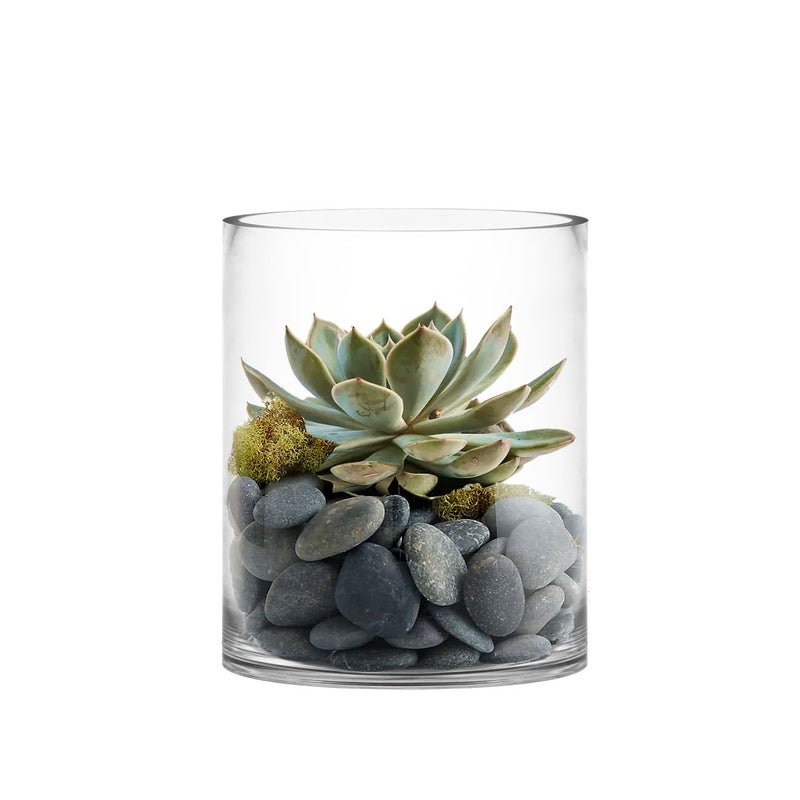 CYS Excel Large Clear Glass Cylinder Vase H12 D10 Flower Vase Centerpieces Hurricane Floating Pillar Candle Holder Terrarium Planter