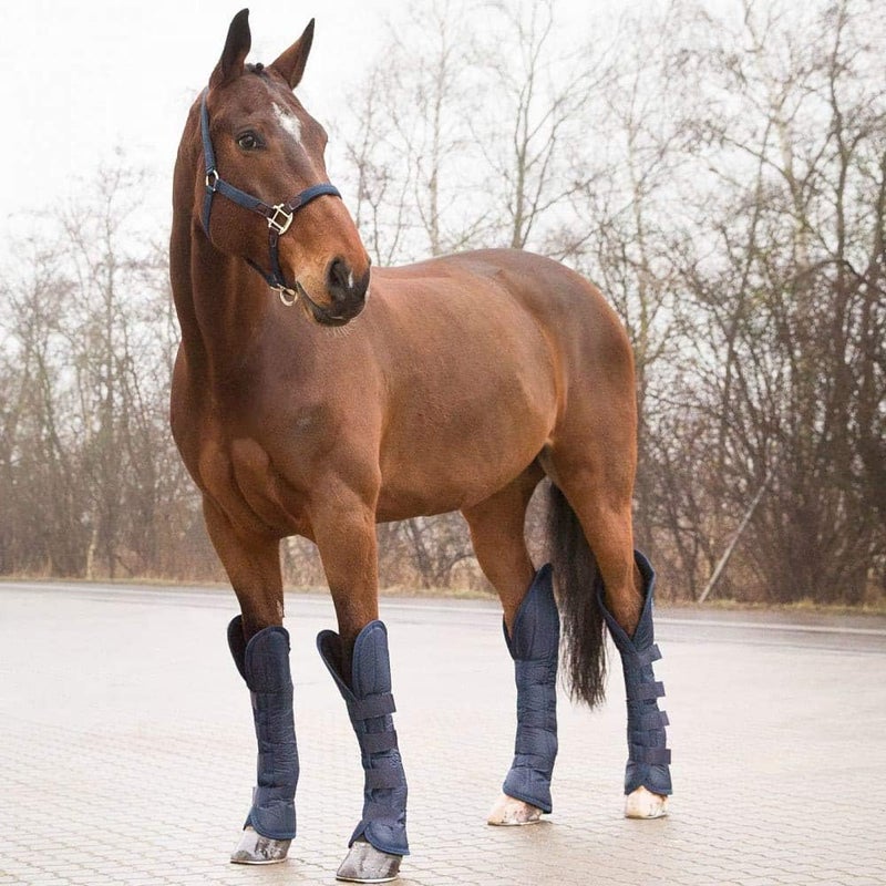 HORZE Horse Shipping Boots Set of 4  Peacoat Dark Blue  Horse - Image 4