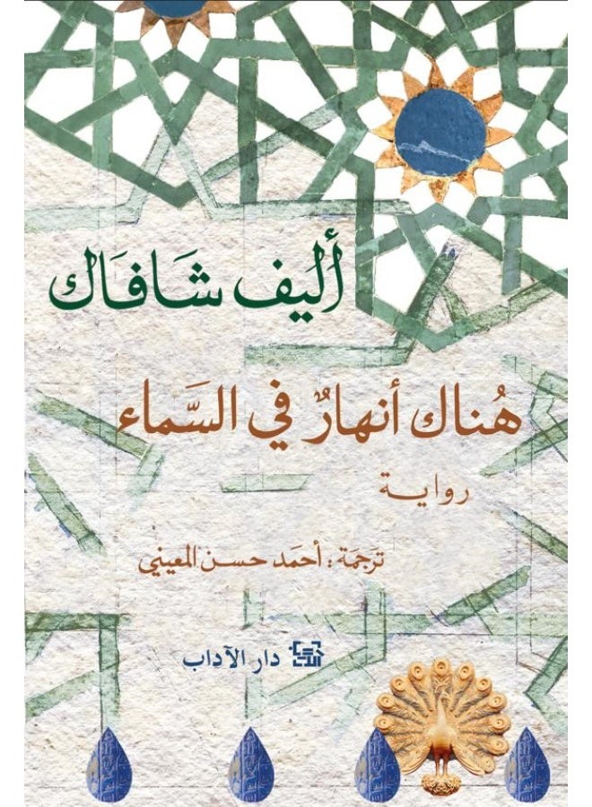 There Are Rivers in the Sky - Elif Shafak