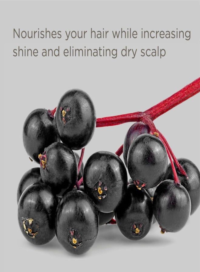 Hairitage Color Check Moisturizing Shampoo - UV Protection for Color Treated Hair - Prevent Color Washout + Fading - Forumated with Elderberry + Passionfruit Seed Oil, 13oz - Image 4