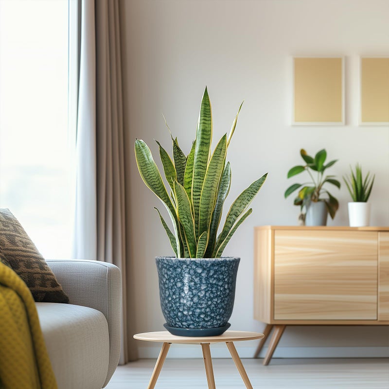 SUNPOTFOR 8 Inch Plant Pot - Ceramic Planter for Indoor Outdoor, Round Planter with Drainage Hole and Saucer, Modern Planters, Decorative Flower Pot, Garden Room Office Home Decor, Garden Gifts, Blue - Image 5