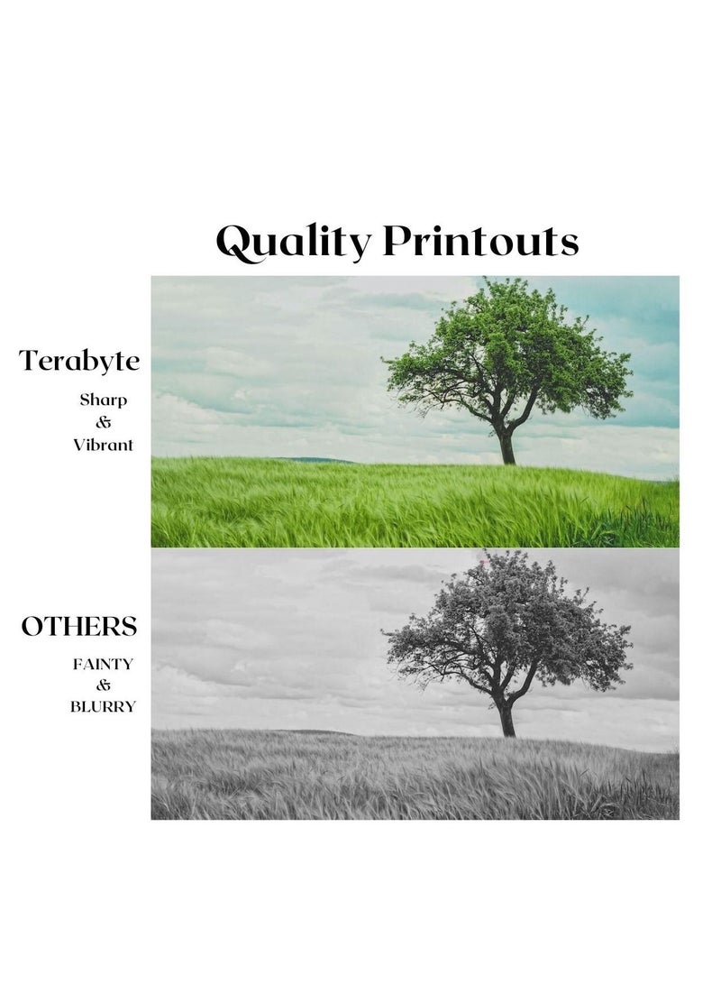 تيرابايت TN1000 TONER CARTRIDGE BLACK - Image 4