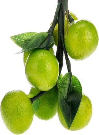 Akdc Artificial Fruit
