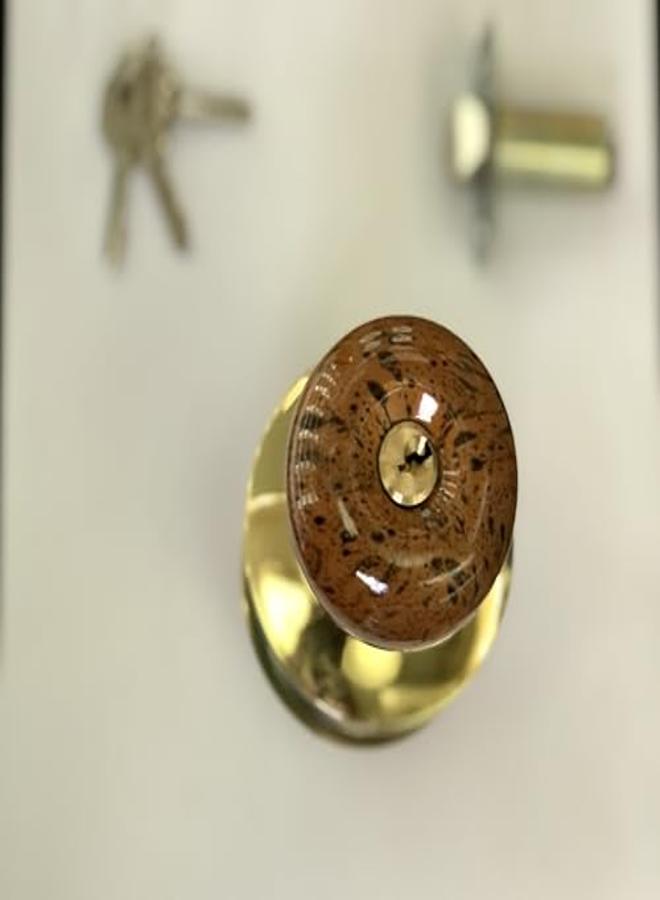 كلون باب منزلي وحمام ومكتب وفندقي لون ارو - Image 2