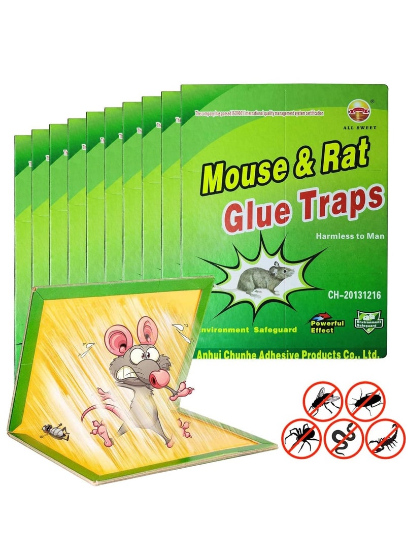 YIZHIER 10-Pack Mouse Rat Glue Trap Strongly Adhesive Sticky Glue Traps for Mice Mouse Sticky Traps - Image 1