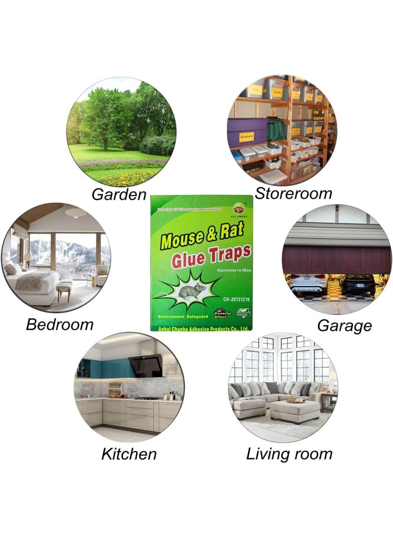 YIZHIER 10-Pack Mouse Rat Glue Trap Strongly Adhesive Sticky Glue Traps for Mice Mouse Sticky Traps - Image 4