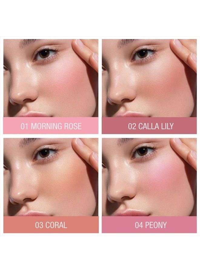 TINTARK Cheeky Blush Compact for Face Cheeks, Talc Free Blusher Palette, Matte Powder Makeup, Natural Healthy, Mauve Pink Magenta Peach Red, Vegan Cruelty Free - Image 2