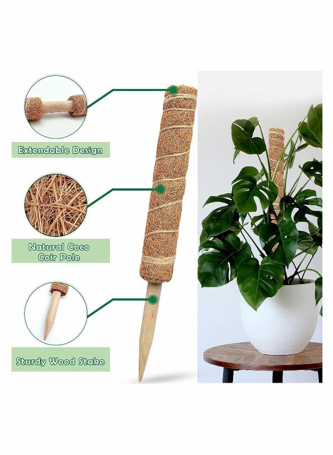 Generic Moss Pole - 26 Inch Moss Pole for Plants Monstera, 2 Pack 15.4 Inches Coco Plant Pole  - Image 3