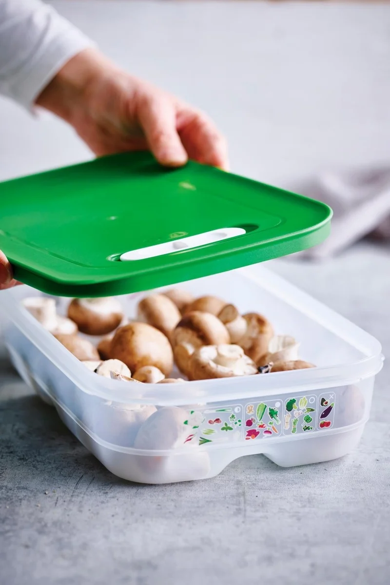 Tupperware Sera Series Short Stem Container 1.8L Green