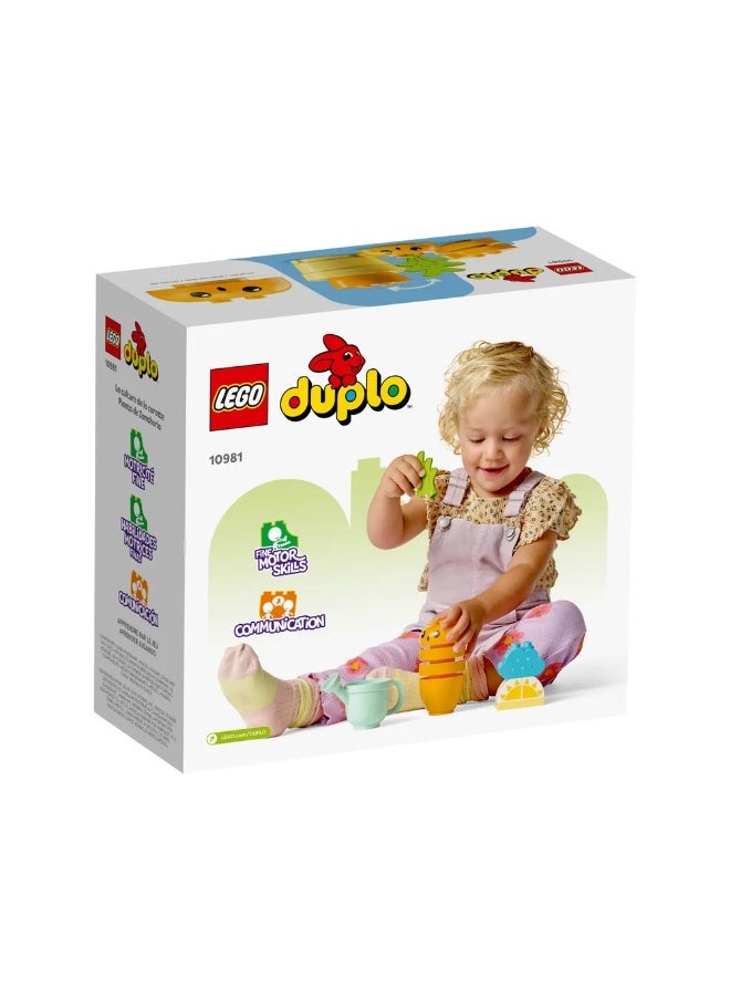 ليغو ليجو نمو الجزر 11 قطعة - 10981  - Image 5