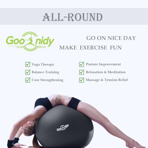 Goonidy Soft Exercise Ball AntiBurst Pilates Yoga Ball Chair Supports 2200lb Workout Equipment w Pump for Women Pregnancy Medicine Birthing Physical Therapy Stability Excersing Birth Swiss Fitness - Image 3
