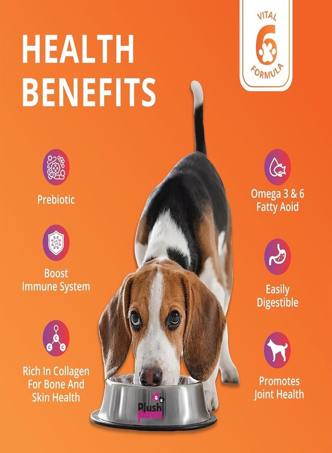 PLUSHPAWS طعام الكلاب الرطب بنكهة برياني الدجاج من بلاش باوز - 300 غرام | مكونات بجودة صالحة للاستهلاك البشري | غني بالبروتين، طبيعي وخالٍ من المواد الحافظة | مناسب للجراء والكلاب البالغة (عبوة واحدة) - Image 3