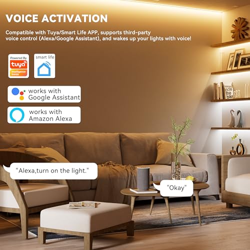 PAUTIX WiFi 5-in-1 LED Controller Dimmable for Monochrome CCT RGB RGBW RGBCCT LED Strip Lights Compatible with Tuya APP/Smart Life/Alexa/Google Home/Siri,DC12-24V Lights Controller(Without Battery) - Image 4