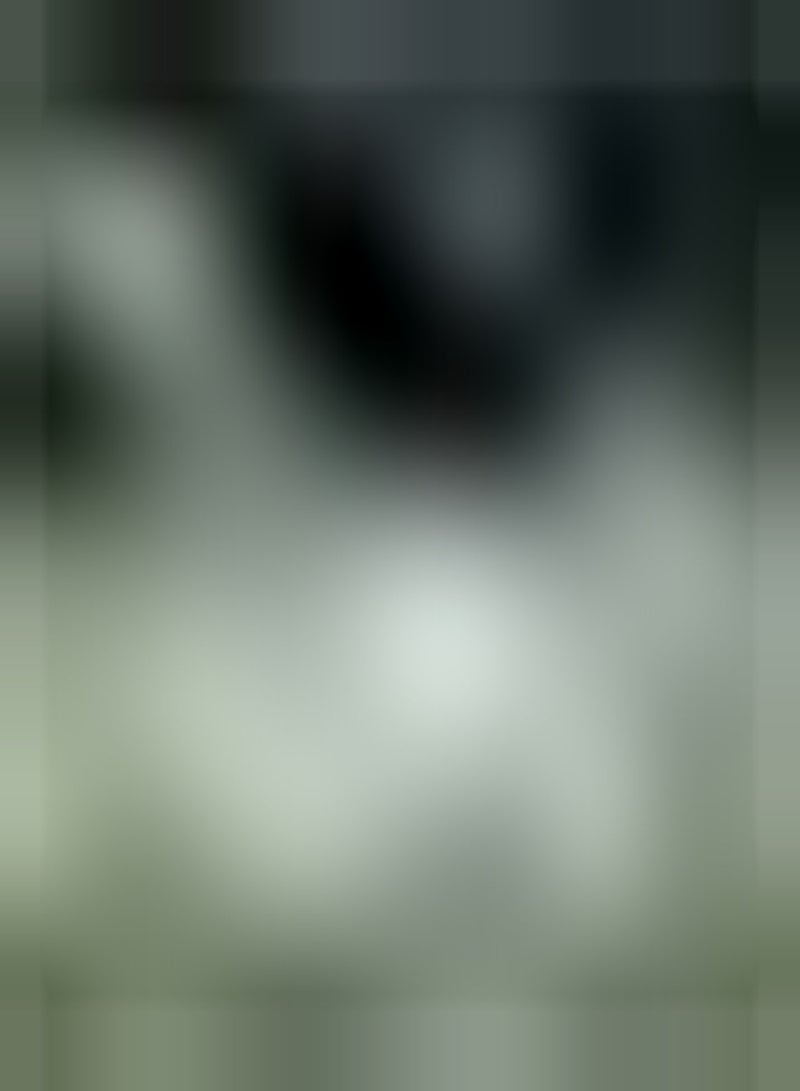 GGOOT Wild Cornflower, Approx, 100 Seeds Fairy Garden, Wild Flower Seed - Image 3