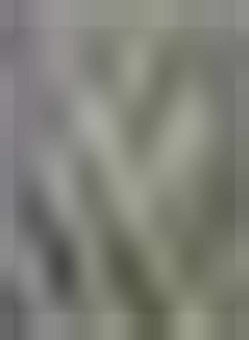 GGOOT Wild Cornflower, Approx, 100 Seeds Fairy Garden, Wild Flower Seed - Image 4