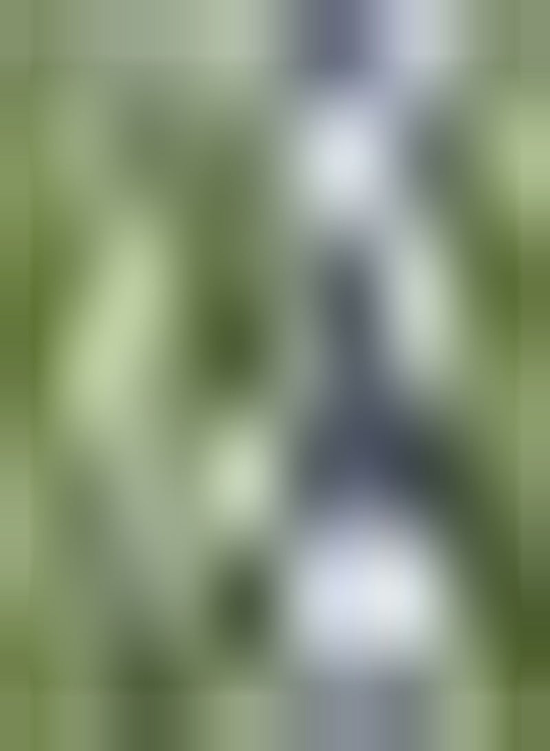 GGOOT Wild Cornflower, Approx, 100 Seeds Fairy Garden, Wild Flower Seed - Image 2