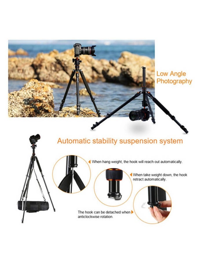 K&F Concept SA234 DSLR Aluminum Camera Tripod with Ball Head - Image 4