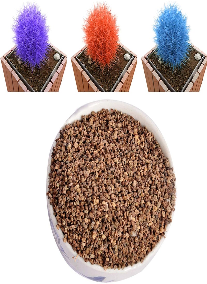 GGOOT - 100Pcs Burning Bush Kochia Scoparia Grass Seeds Home Garden Planting Bonsai Decor - Blue - Flower Seeds Vegetable Seeds Fruit Seeds Garden Plant Seeds - Image 1