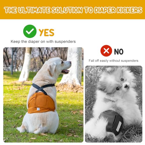 Avont 3 Pack Avont Male Dog Belly Band with Suspenders Reusable Boy Doggie Diaper with Harness Escape Proof NonSlip Washable Doggy Pee Wraps for Small Medium Large Dogs - Image 3