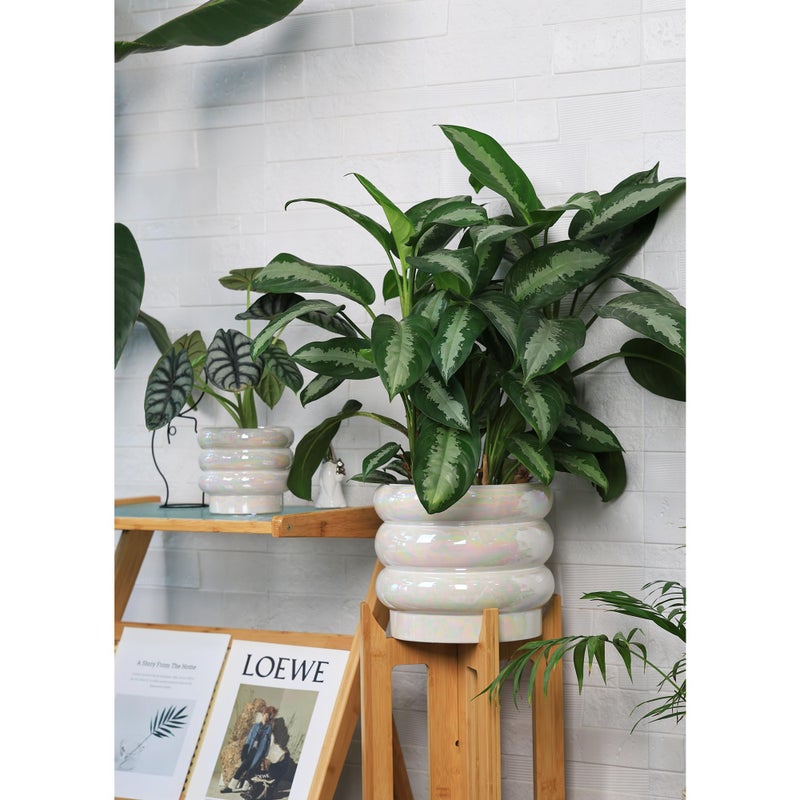 YFFSRJDJ 10 inch Ceramic Plant Pots for Indoor Plants, Rainbow Pearl Glaze Planter with Planters for Plants with Drainage Hole, Orchid Pots, Succulent Pot, Large Flower Pot (White) - Image 5