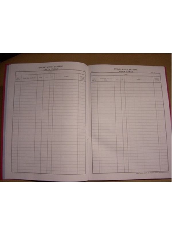 Dilman - Document Record Book Paperback - Image 1