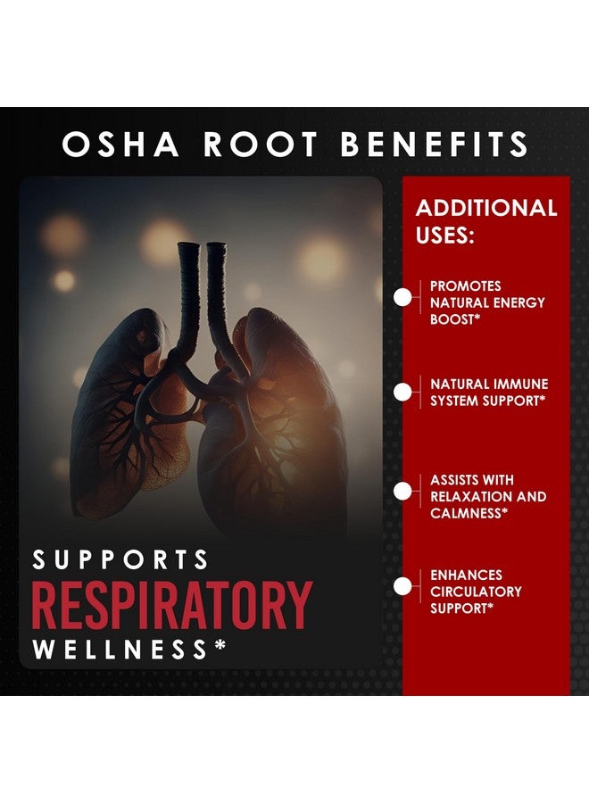 AMALTH OSHA Root 15:1 Extract, 120 Vegan Capsules, Concentrated and Standardized 15X Extract, 100% Vegetarian, Ligusticum porteri, All-Natural and Non-GMO - Image 5