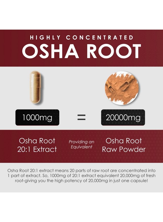 AMALTH OSHA Root 15:1 Extract, 120 Vegan Capsules, Concentrated and Standardized 15X Extract, 100% Vegetarian, Ligusticum porteri, All-Natural and Non-GMO - Image 4