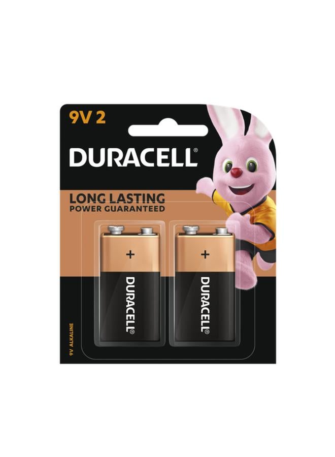 Duracell 2-Piece 9V Alkaline Battery Black and Gold