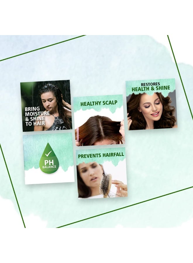 صني شامبو أرنيكا (250 مل) وبلسم الشعر (100 مل) | لشعر ناعم ولامع وصحي | يعيد الرطوبة واللمعان | يقوي الشعر ويحميه من التلف | لشعر لامع وخالي من التشابك - Image 5