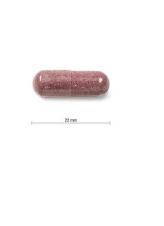Jamieson Laboratories Jamieson Cranberry 500 mg 60 Capsules  - Image 3