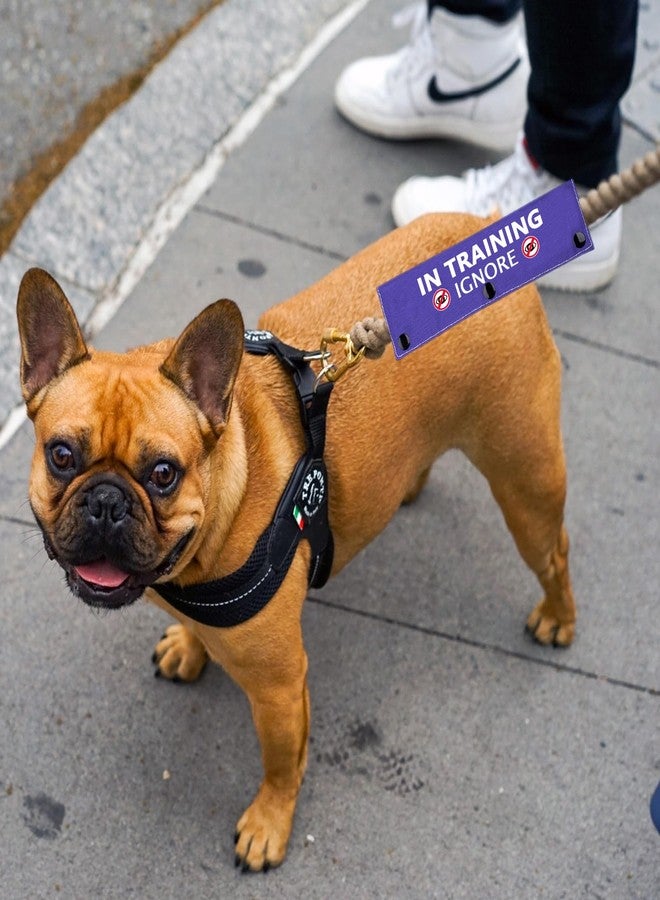 Zuo Bao Training Ignore Dog Leash Wrap & Sleeve - Social Distancing Patch - Image 3