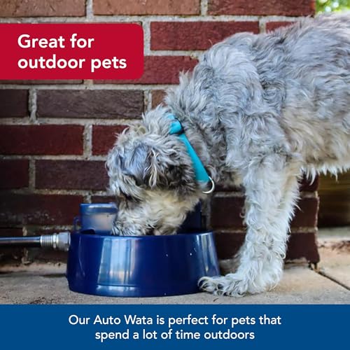 Coastal Pet Bergan Auto-Wata - Outdoor Dog & Cat Water Dispenser - Automatic Water Bowl for Pets - Made from Durable, BPA-Free Plastic - Self-Watering Cat & Dog Bowl - Navy, 48 Ounces - Image 4