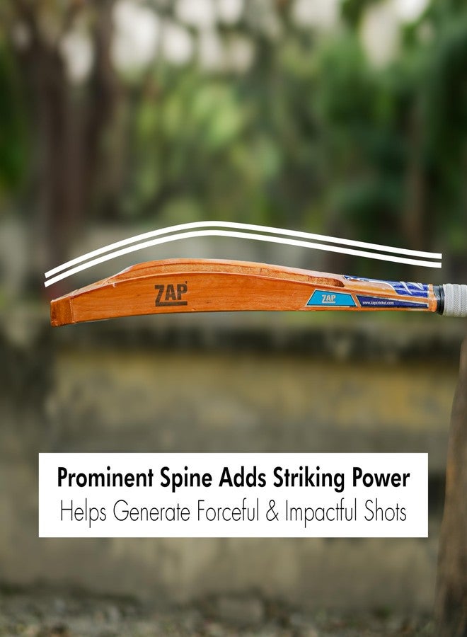 زاب مضرب تنس ZAP Glaze Scoop للكريكيت (إصدار فاخر - 35 بوصة) | خشب الصفصاف الكشميري من الدرجة الأولى | مضرب كريكيت صلب لكرة التنس | خفيف الوزن للغاية مع طلاء مقاوم للماء | مثالي للضربات القوية - Image 5