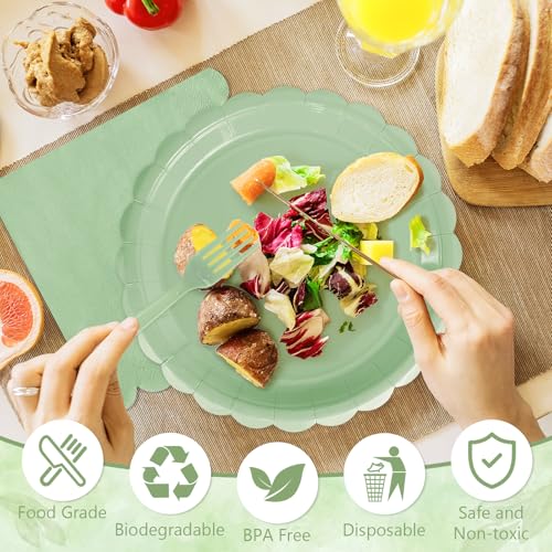 Mulbozy 75 Sage Green Paper Plates and Napkins Disposable Set Includes Dessert Cake Scalloped Plates, Cocktail Napkins, Forks for for Holiday Party Supplies - Image 4