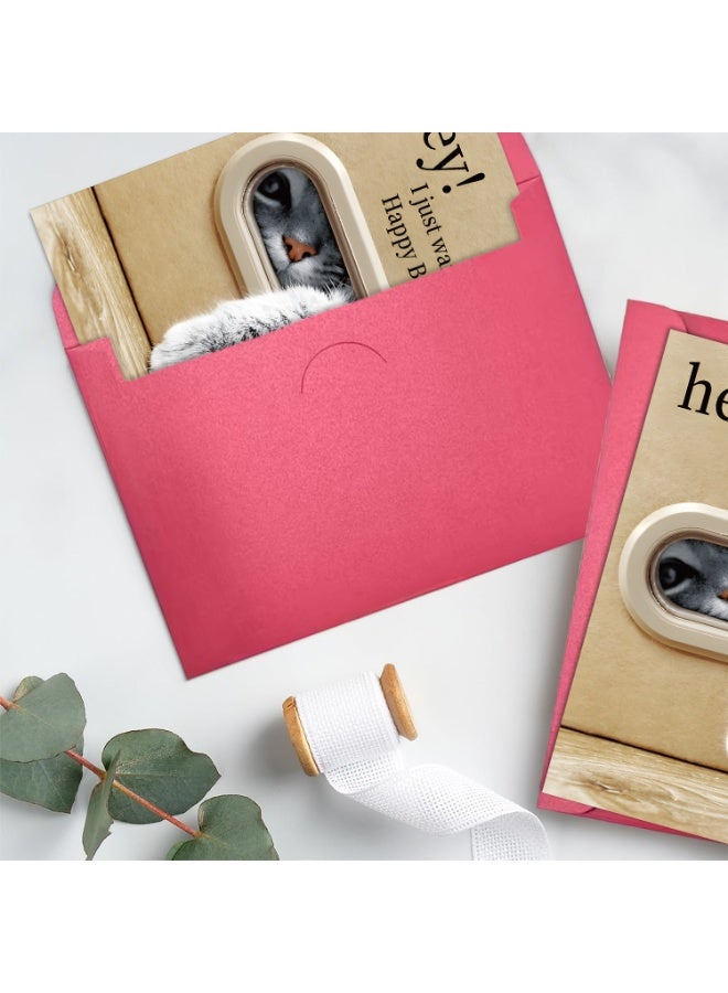 2pcs Cat Design Happy Birthday Greeting Cards with Envelopes – Cute Animal Print Birthday Cards for Friends & Family - Image 2