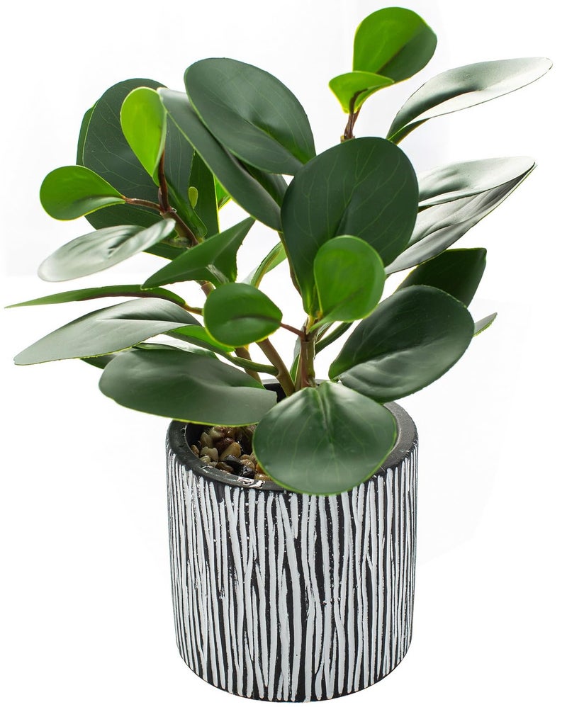 AlphaAcc Fake Plants Real Looking Greenery Artificial Plants Indoor Potted Plant with Rustic Black Clay Planter for Farmhouse Bathroom Bedroom Kitchen Office Table Decor 8" - Image 1