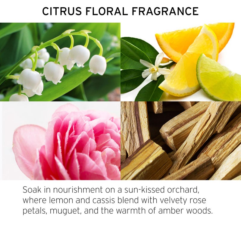 Fekkai Technician Color Conditioner - Includes 2 oz + 8.5 oz Bottles - Extends Vibrancy of Color-Treated Hair - Free of Sulfates, Parabens, Phthalates - Vegan, Cruelty-Free - Image 4