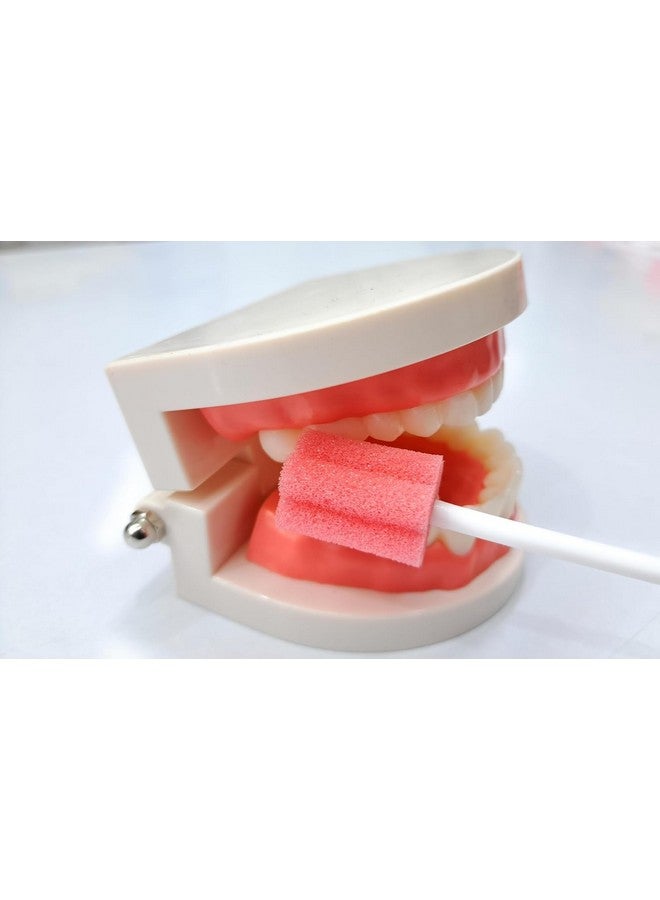 MJ Talk Tools Disposable Oral Care Sponge Swab, Swabsticks Baby Tongue Cleaning, Cleaner For Baby, Mouth | Tongue Cleaning (100) - Image 4