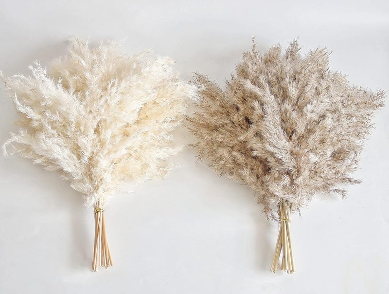 Kocat 30 PCS Boho Decor, Fluffy Pompas Grass, Natural Dry Pampas Grass Small, Short Pampass Bulk for Boho Room Decor, Coffee Table Decor (17 inch ) - Image 3
