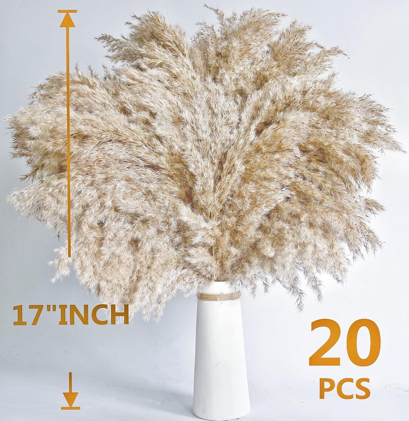 Kocat 30 PCS Boho Decor, Fluffy Pompas Grass, Natural Dry Pampas Grass Small, Short Pampass Bulk for Boho Room Decor, Coffee Table Decor (17 inch ) - Image 4